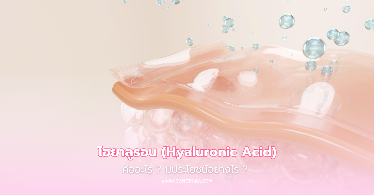 ไฮยาลูรอน Hyaluronic Acid